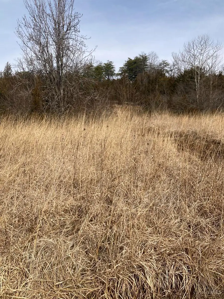 31648 State Route 41, Peebles, OH 45660 - #3