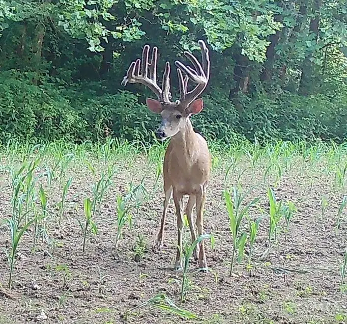 0 Blue Creek Road, Jefferson, OH 45684 - #1