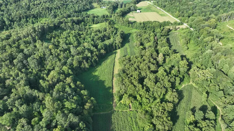 0 Blue Creek Road, Jefferson, OH 45684 - #2