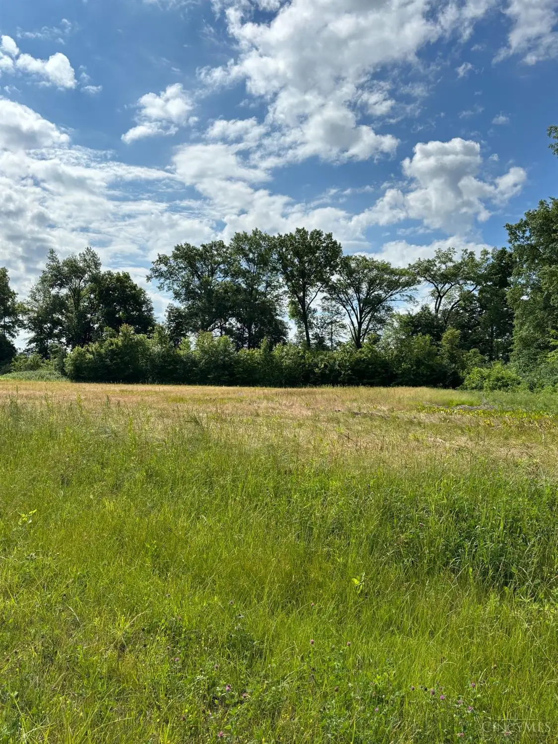 341 Kensington Drive #LOT 5, Clarksville, OH 45113 - #1