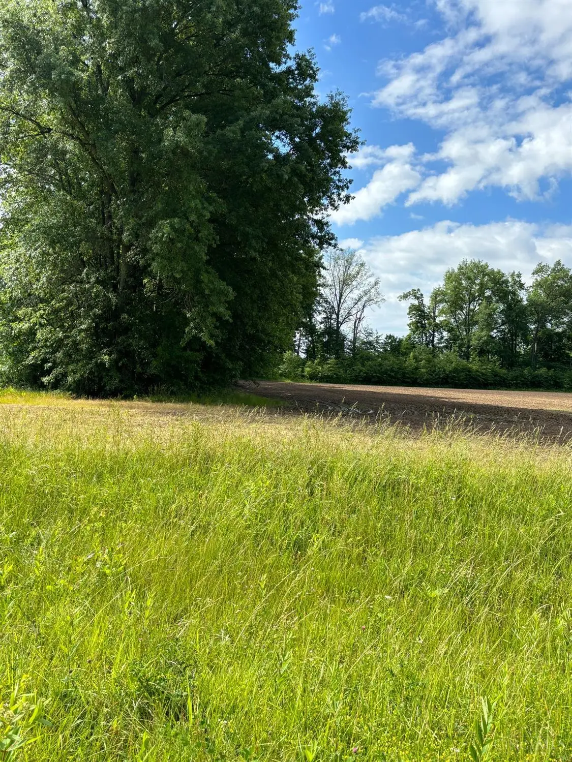 383 Kensington Drive, Clarksville, OH 45113 - #1