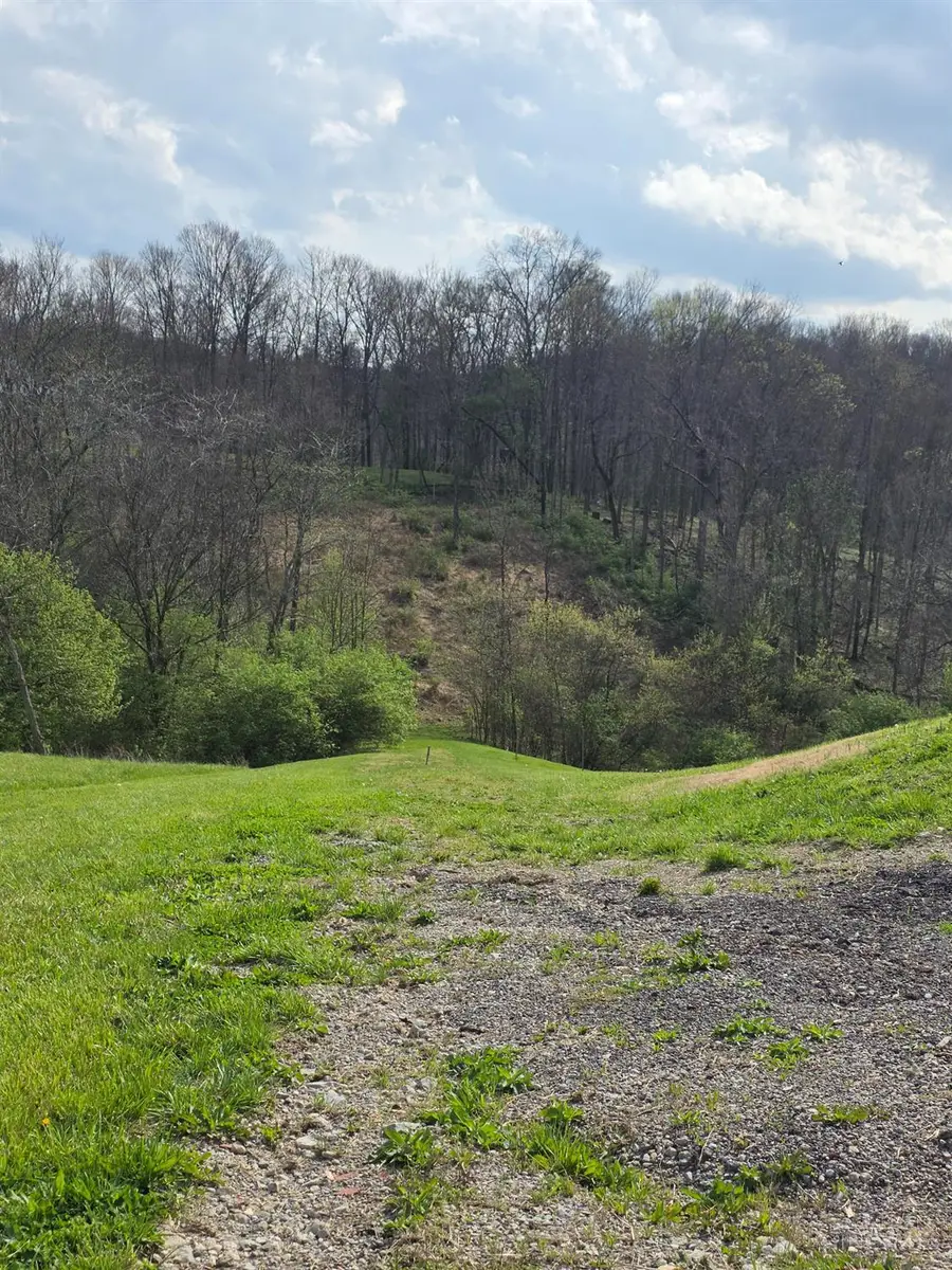 11965 Stone Mill Road, Cincinnati, OH 45251 - #3