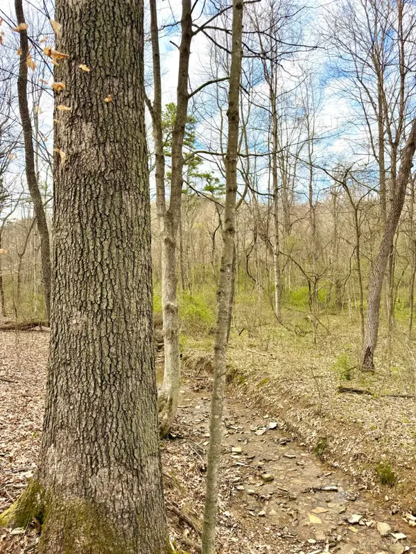 0 Fyffe Hollow, Franklin Twp, OH 45601