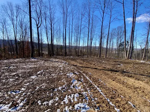 60 Us Rt 52, Manchester, OH 45144