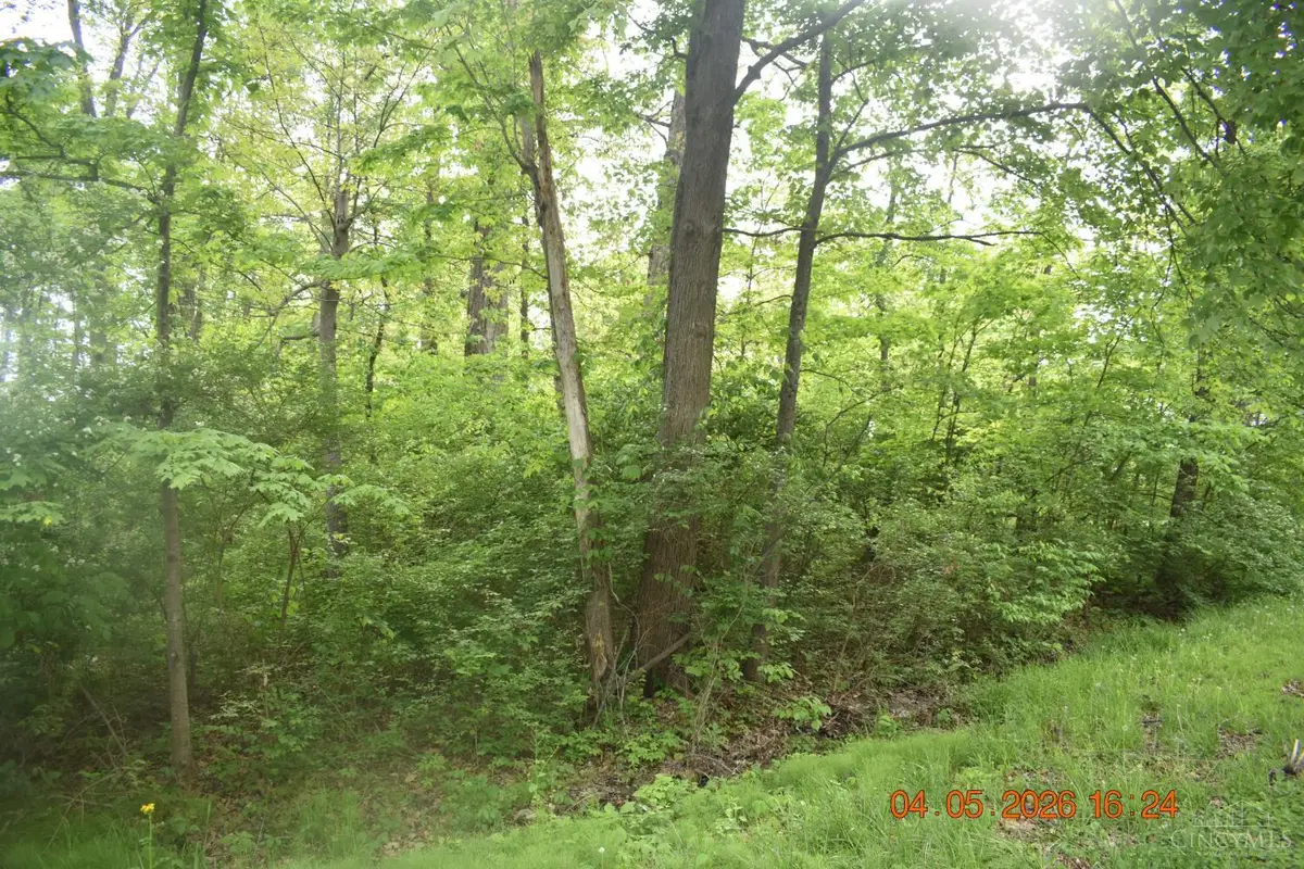 0 Schiltz #210, Fayetteville, OH 45118 - #1