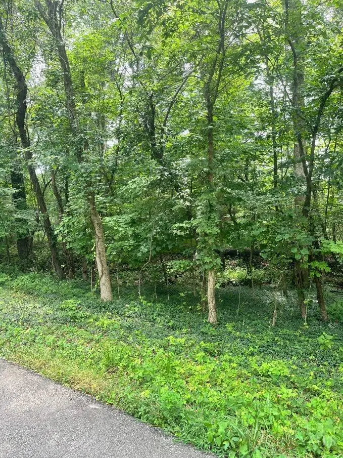 0 Horse Shoe Drive, Sardinia, OH 45171 - #2