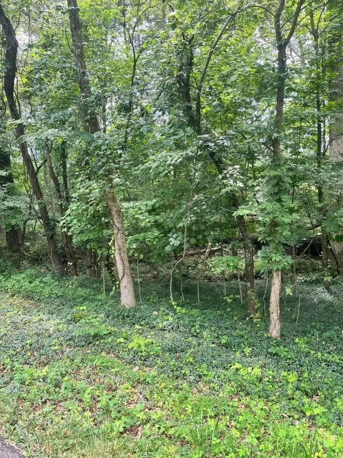 0 Horse Shoe Drive, Sardinia, OH 45171 - #3