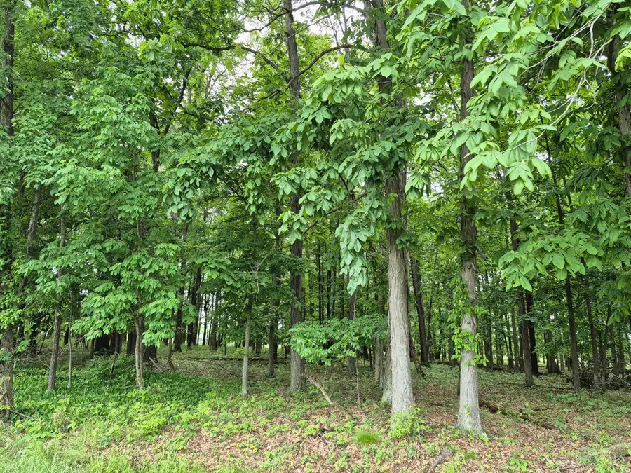 1393 Texas, Lake Waynoka, OH 45171 - #2