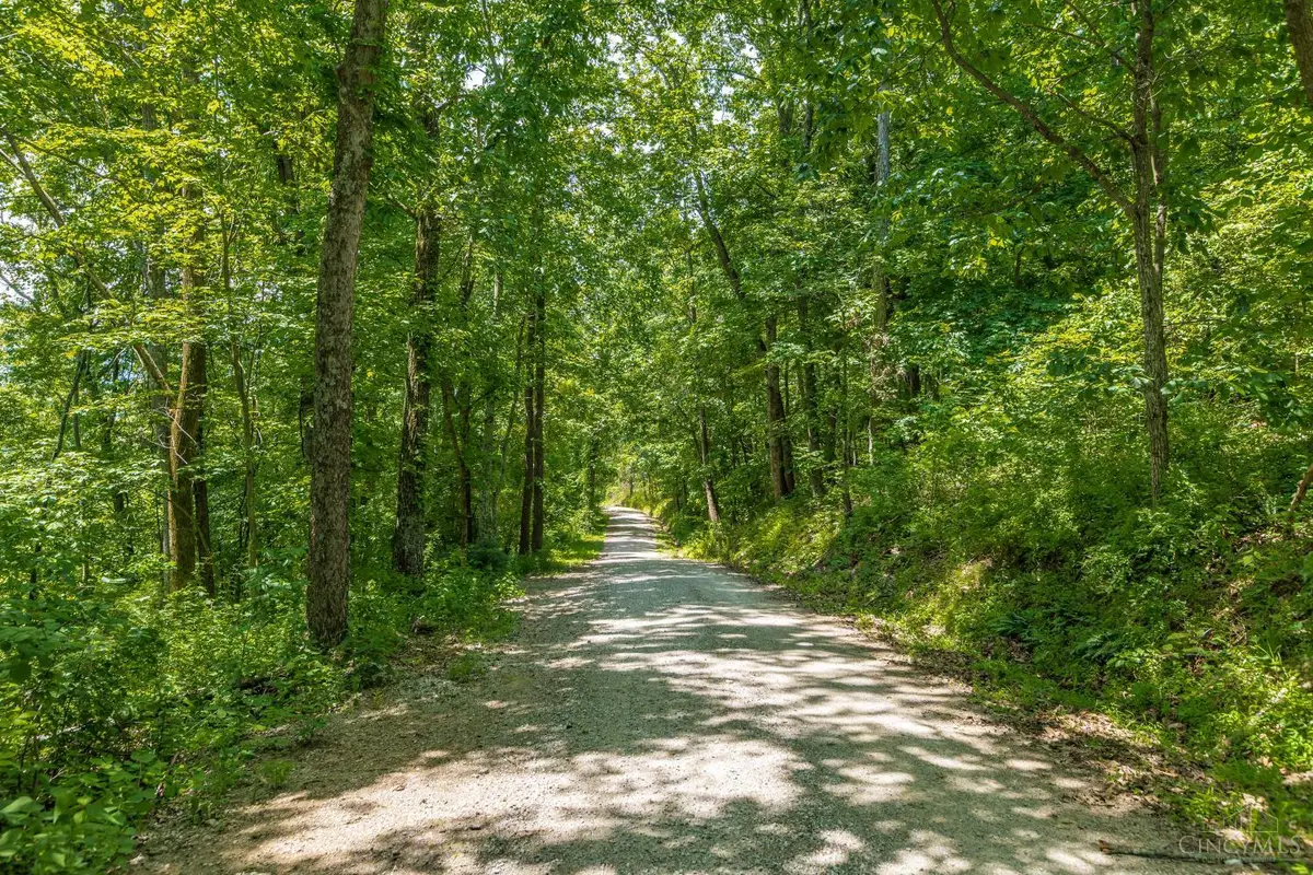 745 Coon Hollow Road, Blue Creek, OH 45616 - #1