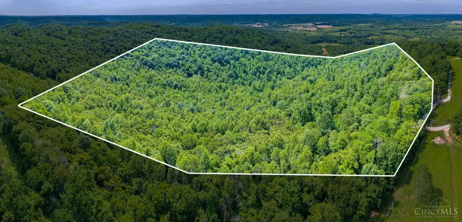 745 Coon Hollow Road, Blue Creek, OH 45616 - #2