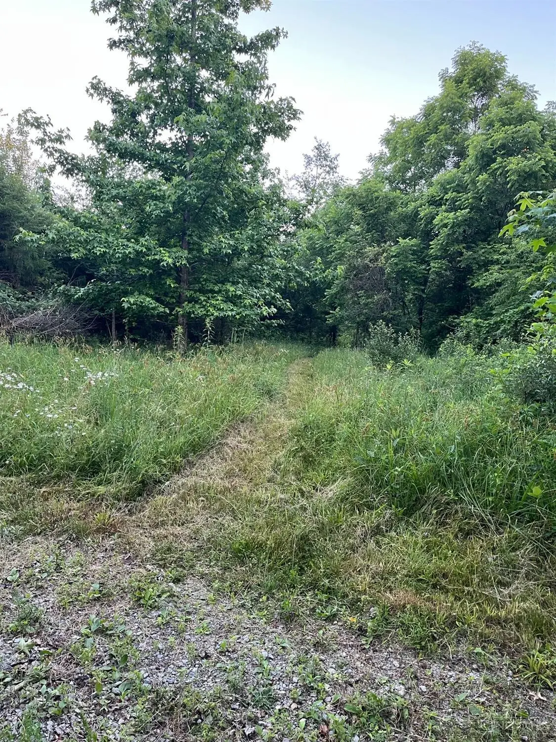 2450 Vance Road, Buford, OH 45171 - #1