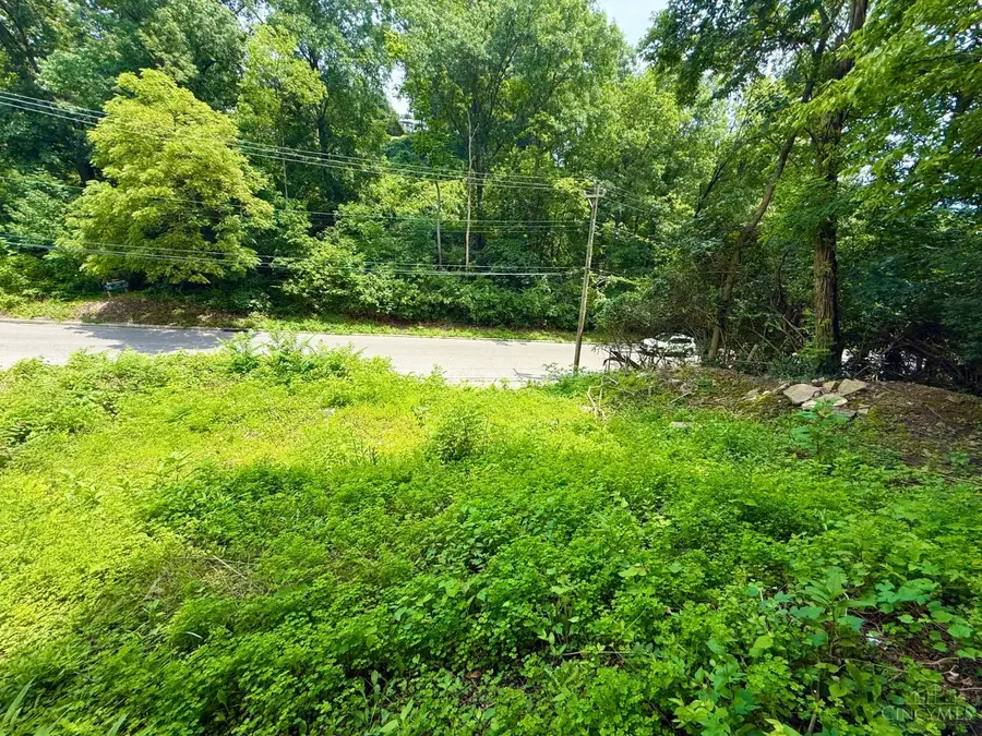 423 Collins Avenue, Cincinnati, OH 45202 - #3