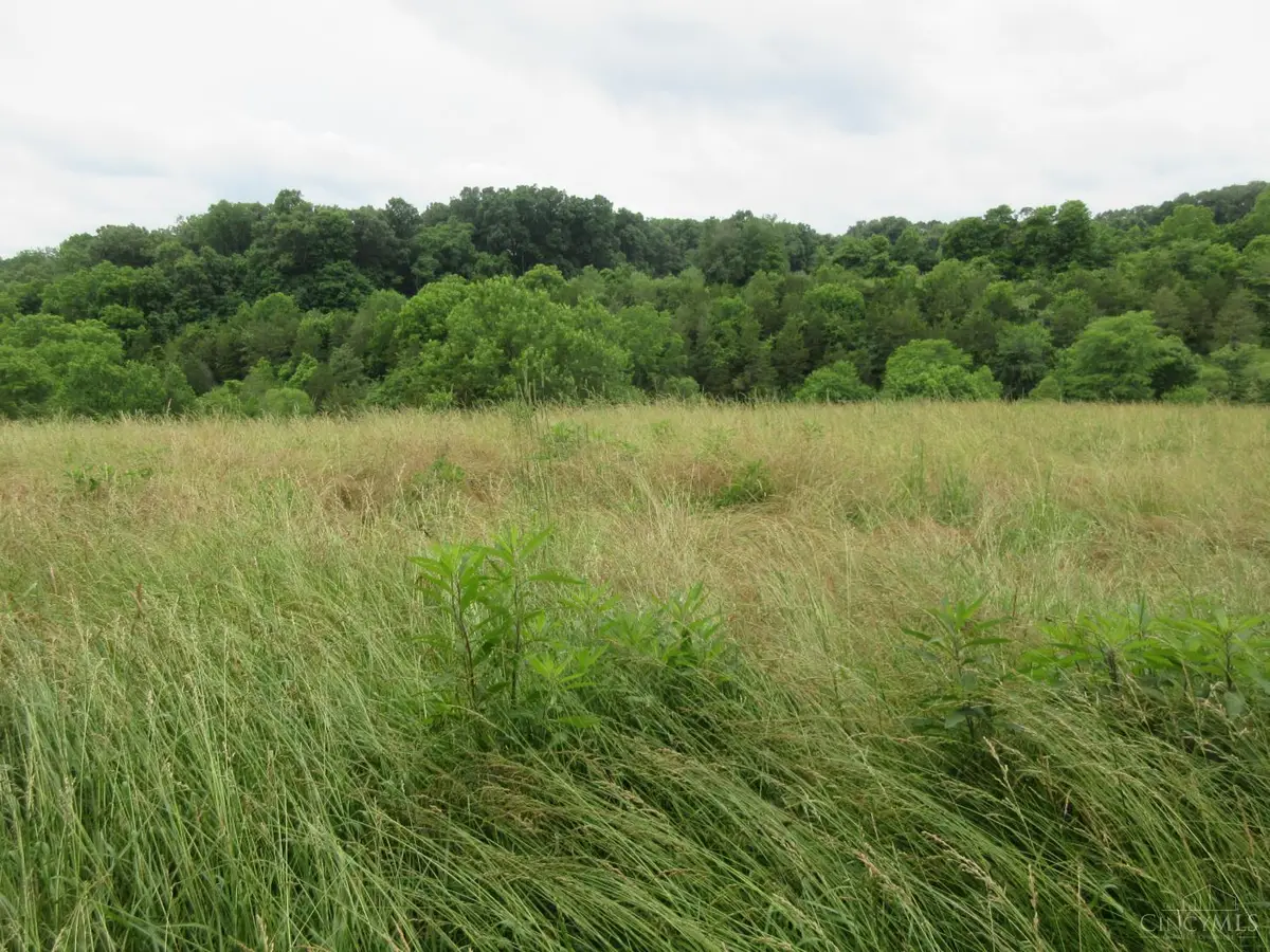 0 Dewitt Road, Moores Hill, IN 47032 - #1