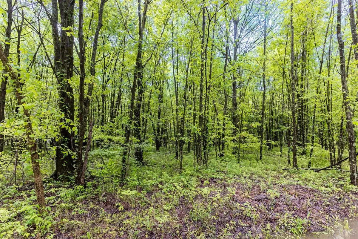 6149 Belfast Road, Stonelick, OH 45122 - #1