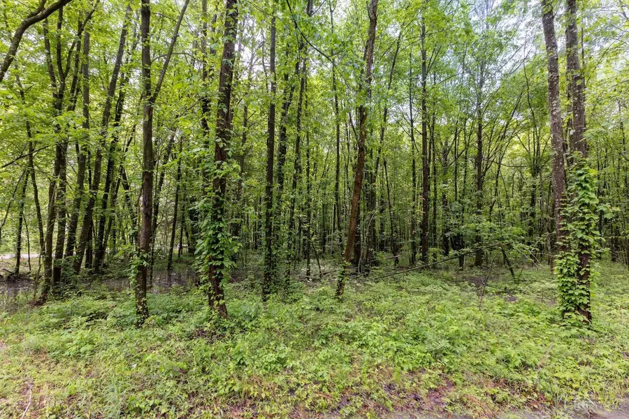 6149 Belfast Road, Stonelick, OH 45122 - #3