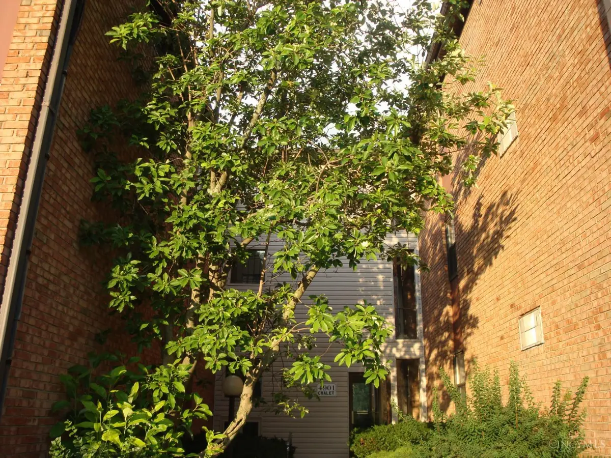 4901 Chalet Drive #303, Cincinnati, OH 45217 - #1