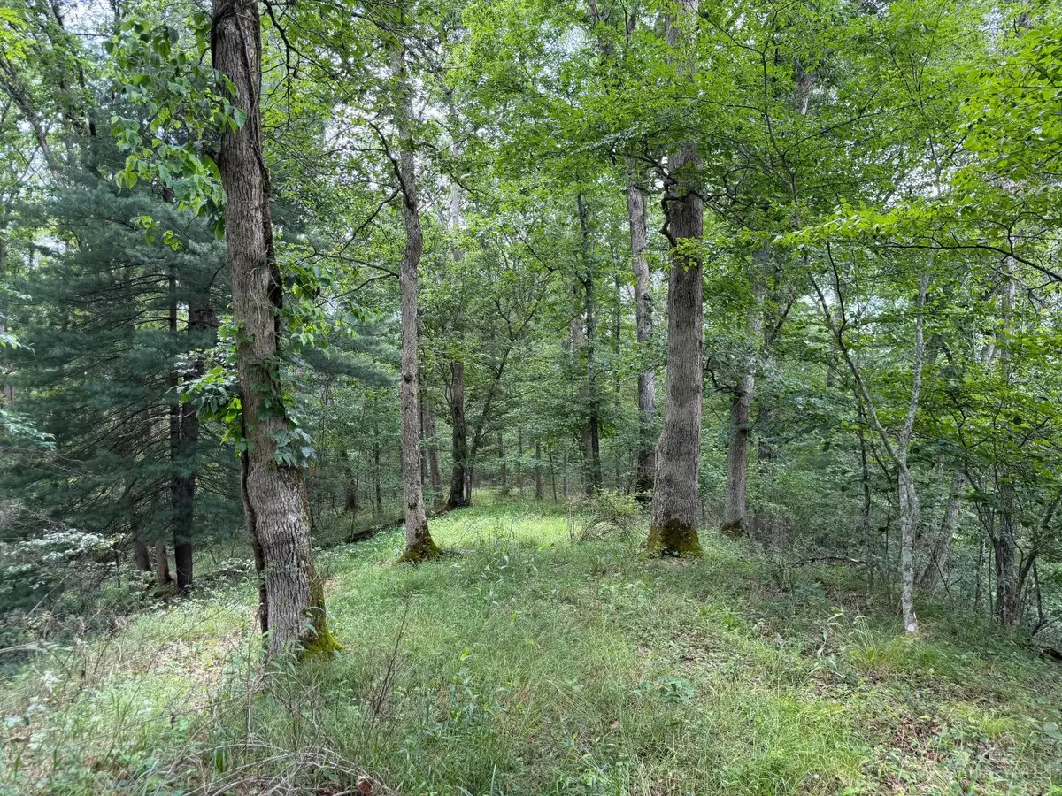 1323 Beaver Pond Road, Peebles, OH 45660 - #1