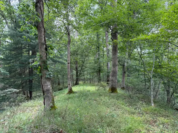1323 Beaver Pond Road, Peebles, OH 45660