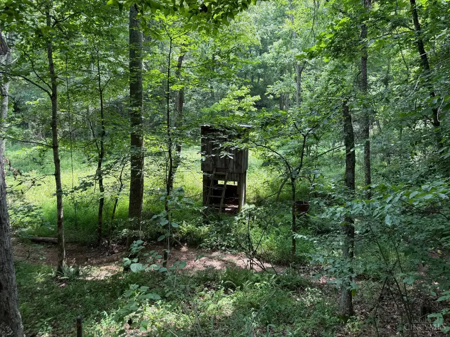 1323 Beaver Pond Road, Peebles, OH 45660 - #3