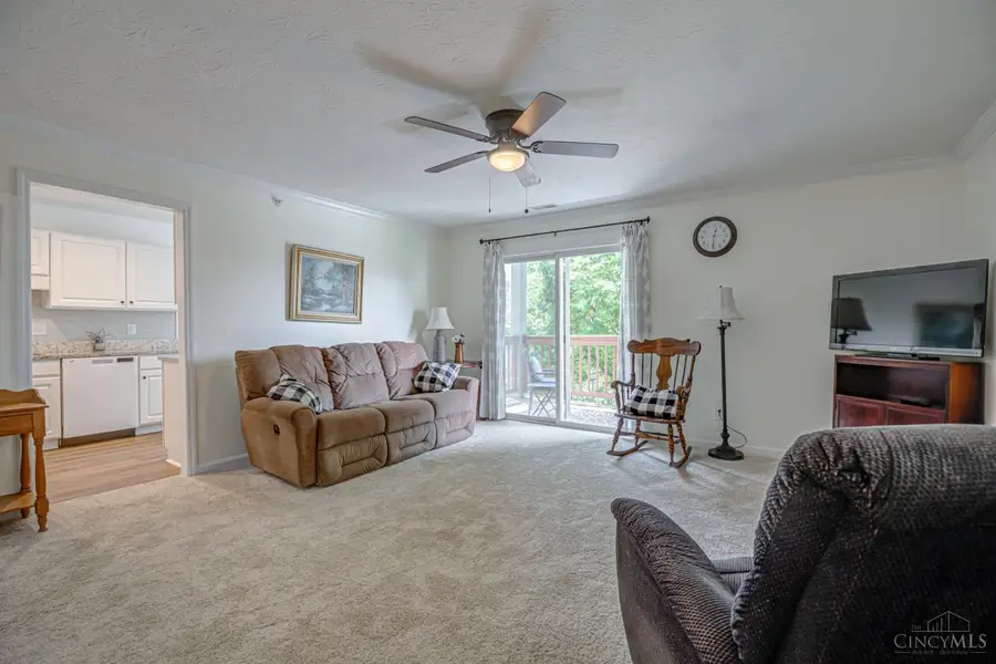 4931 N Arbor Woods Court, Cincinnati, OH 45248 - #3