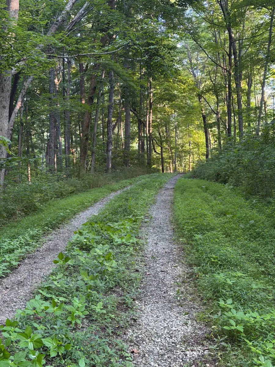 1702 Robinson Hollow Road, Liberty, OH 45693 - #2