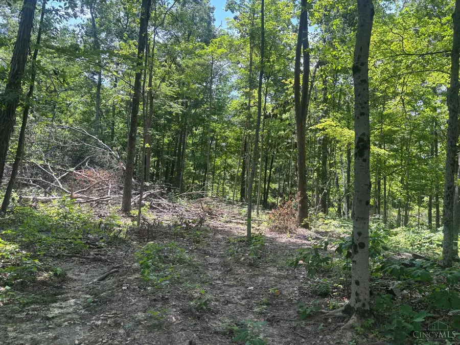 3 Jester Road, Blooming Grove, IN 47012 - #2