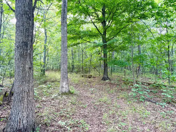 0 St Rt 73, Franklin Twp, OH 45660