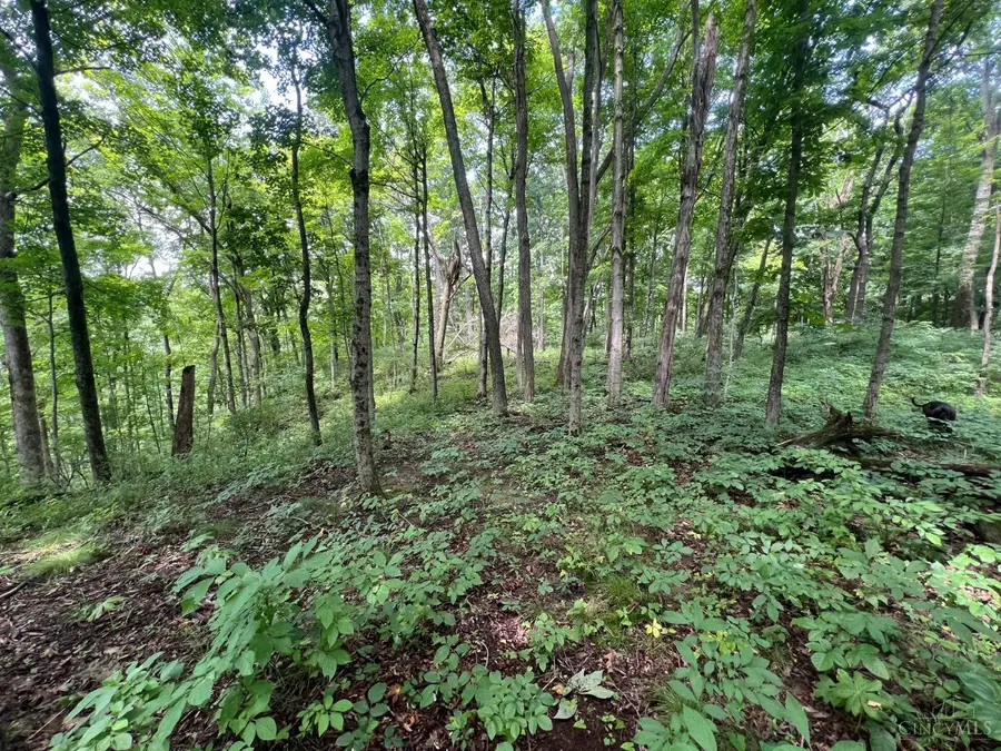 1900 Cruey Lane, Batavia, OH 45103 - #3