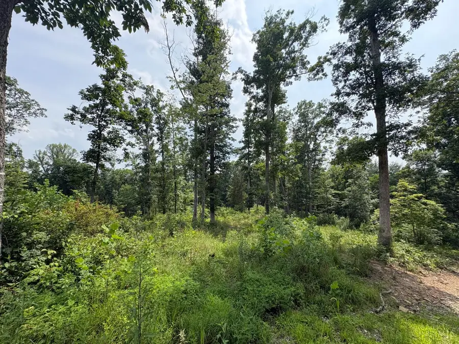 5786 St Rt 781, Peebles, OH 45660 - #3