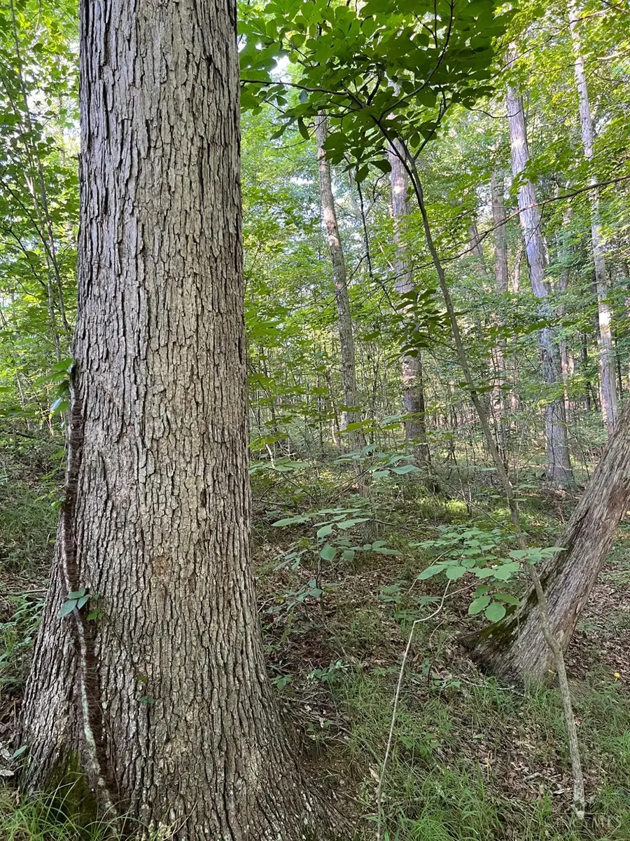 0 Tabernacle Road, Chillicothe, OH 45601 - #3
