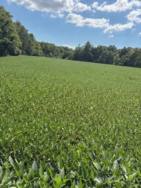 0 Calvary Road, Seaman, OH 45679 - #3