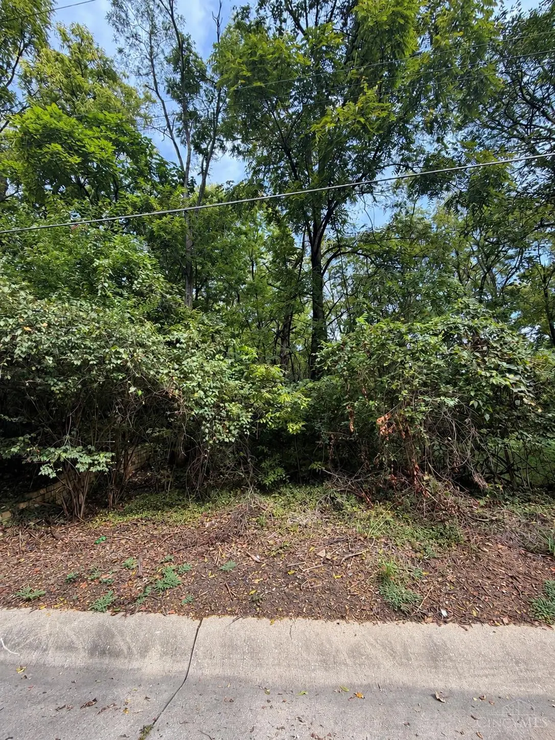 1642 Sutter Avenue, Cincinnati, OH 45225 - #1