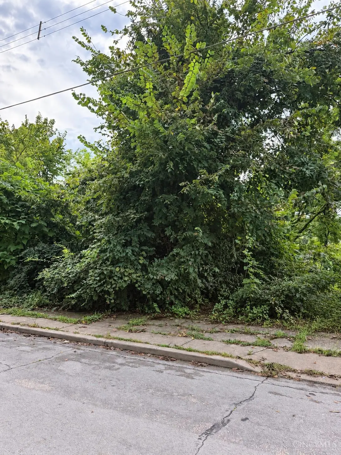 1621 Tremont Street, Cincinnati, OH 45214 - #1