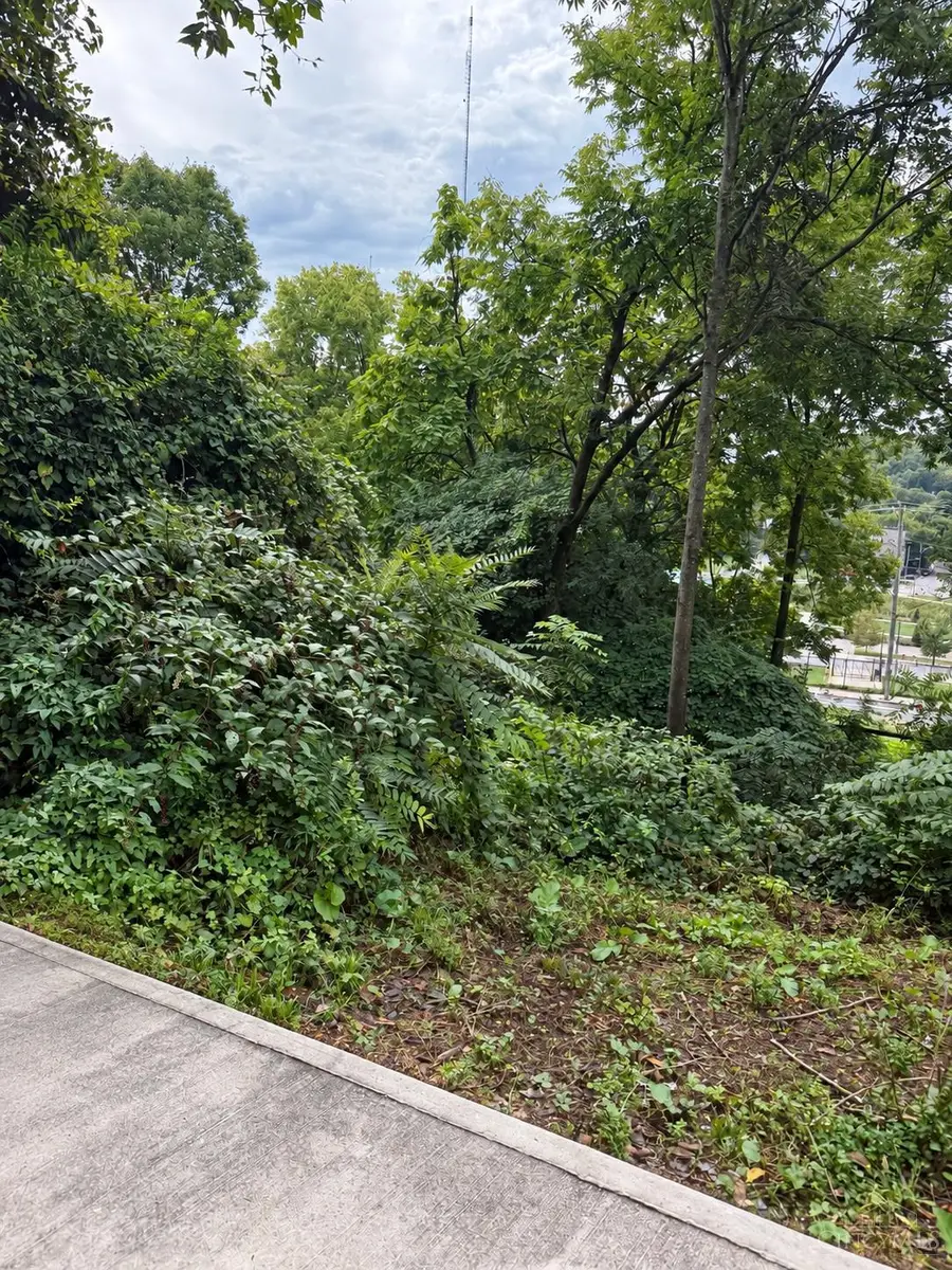 1621 Tremont Street, Cincinnati, OH 45214 - #2