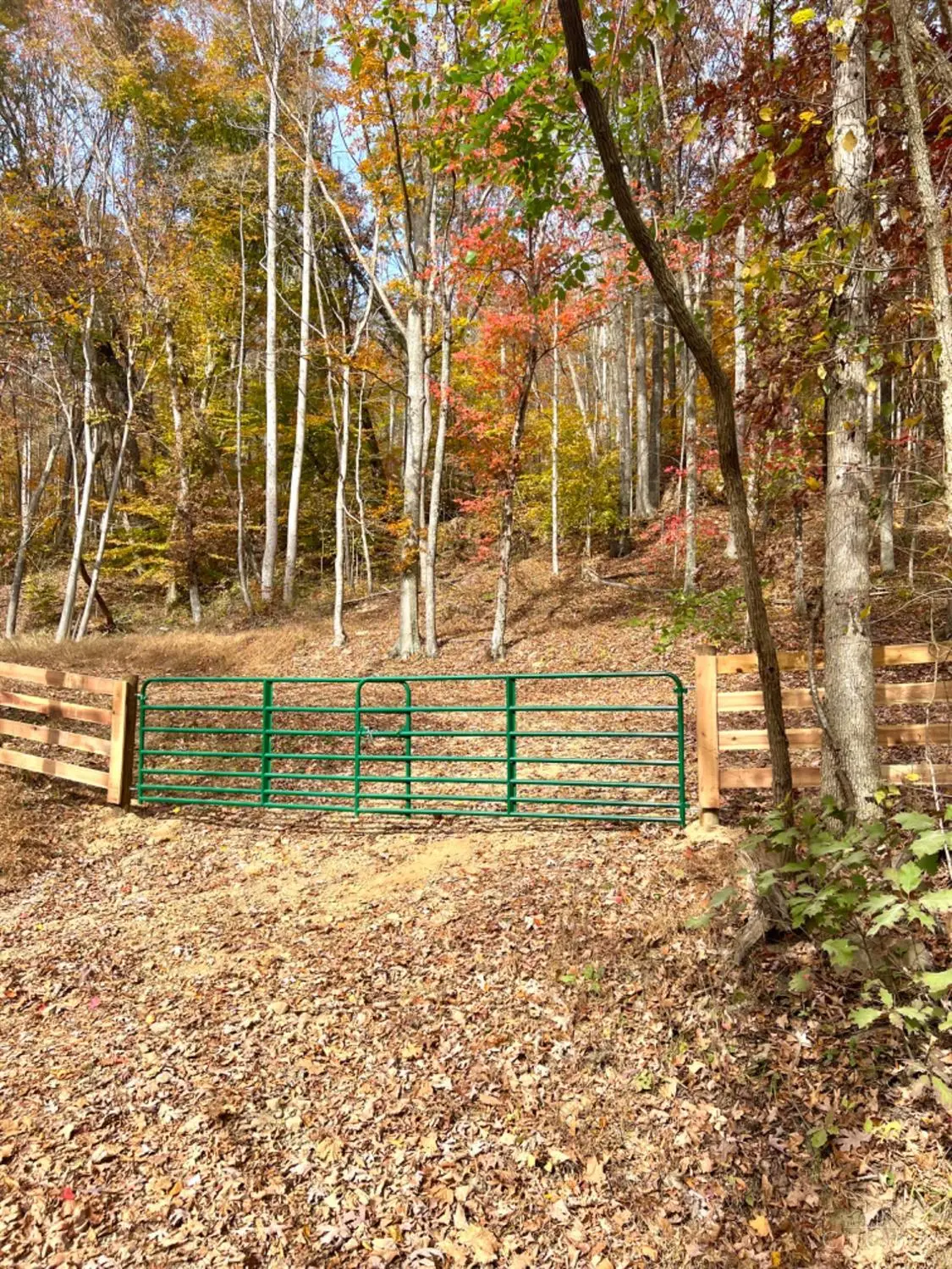 514 Dog Hollow Road, Otway, OH 45657 - #1
