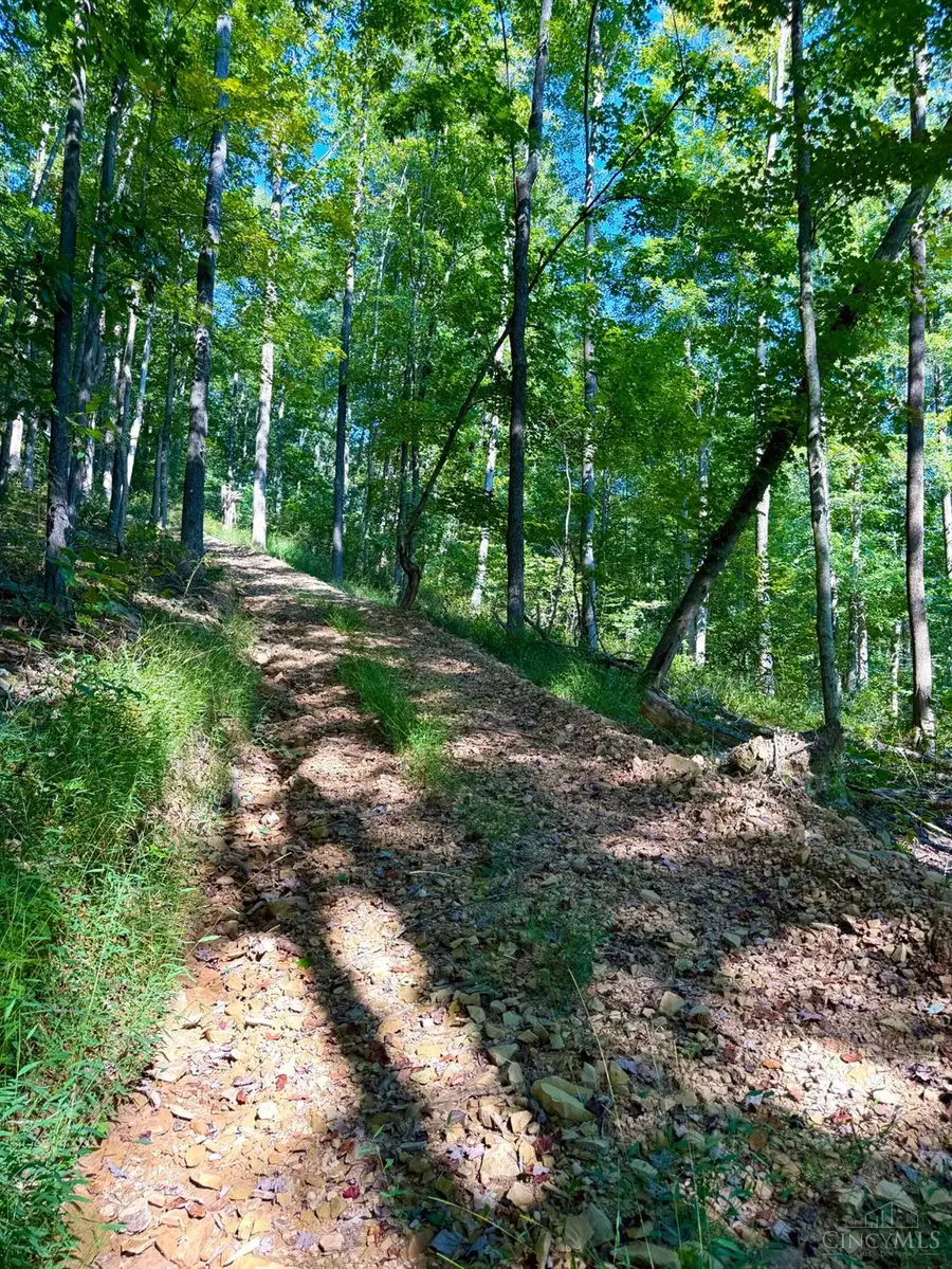 514 Dog Hollow Road, Otway, OH 45657 - #2