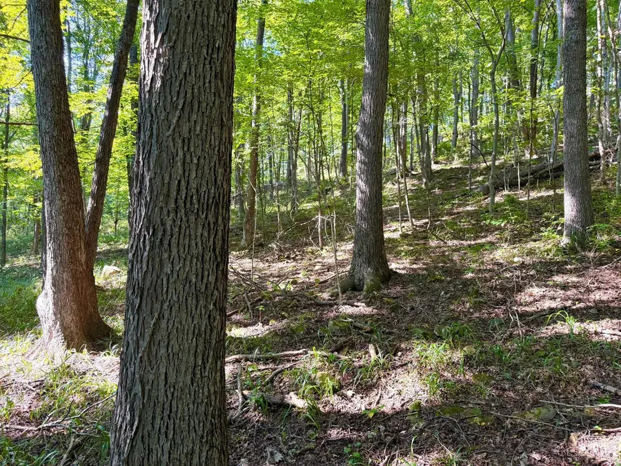 514 Dog Hollow Road, Otway, OH 45657 - #3