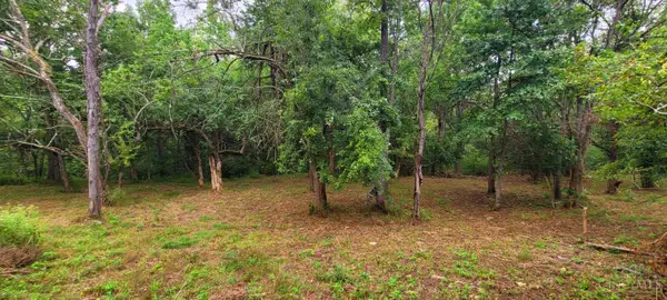 398 Bear Creek Rd, Washington Twp, OH 45120