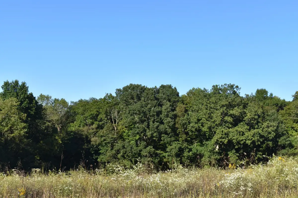 0 Sinking Springs Road, South Bloomfield, OH 45133 - #1
