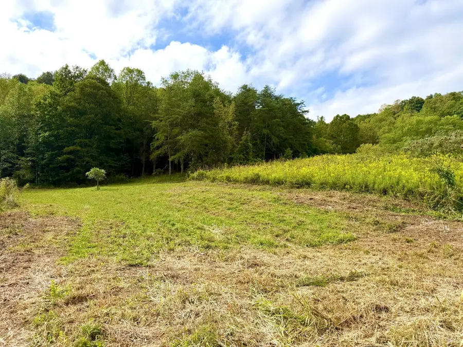 425 Earl Brown Road, Otway, OH 45657 - #3
