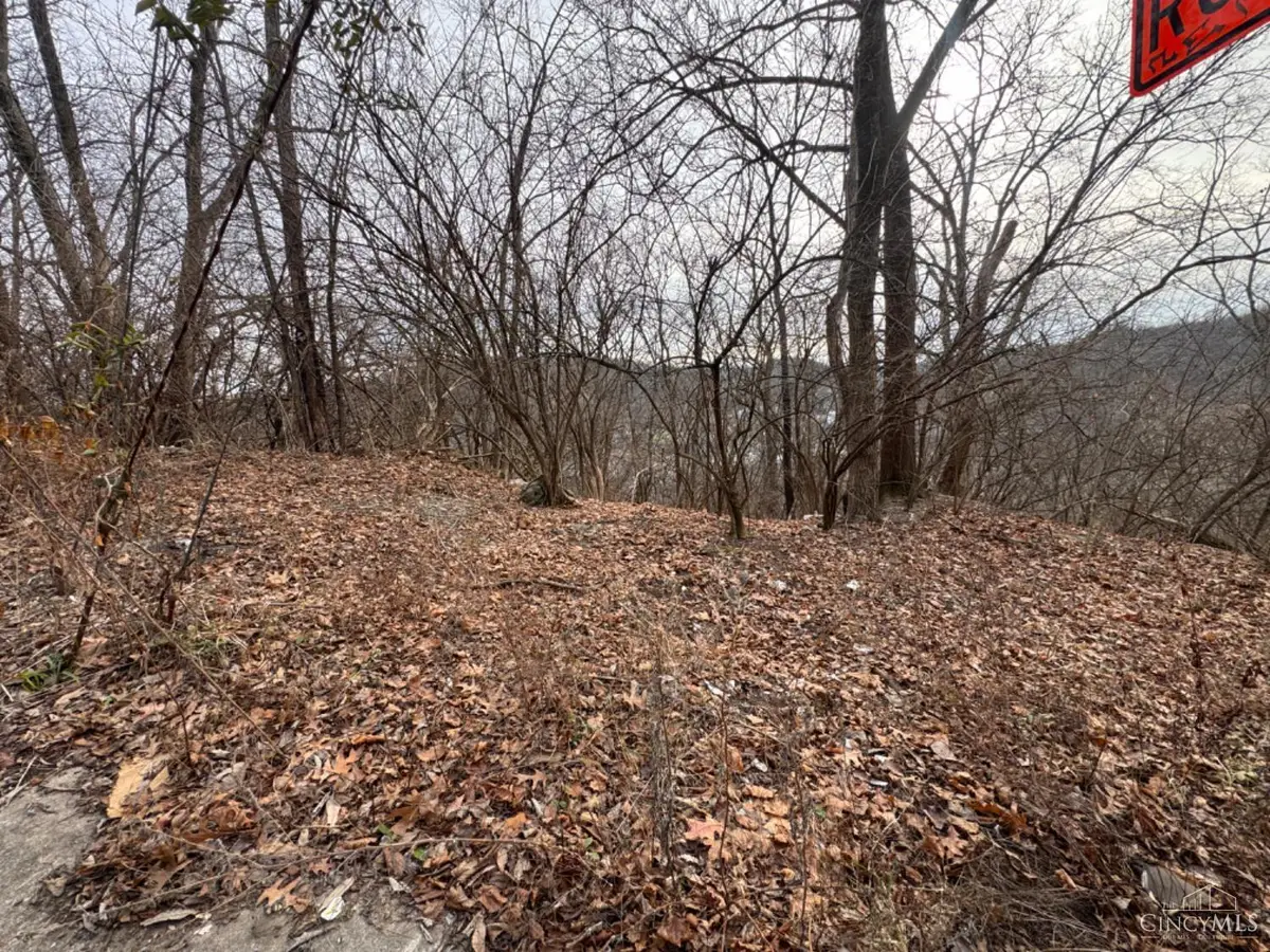 1875 Biegler Street, Cincinnati, OH 45214 - #1