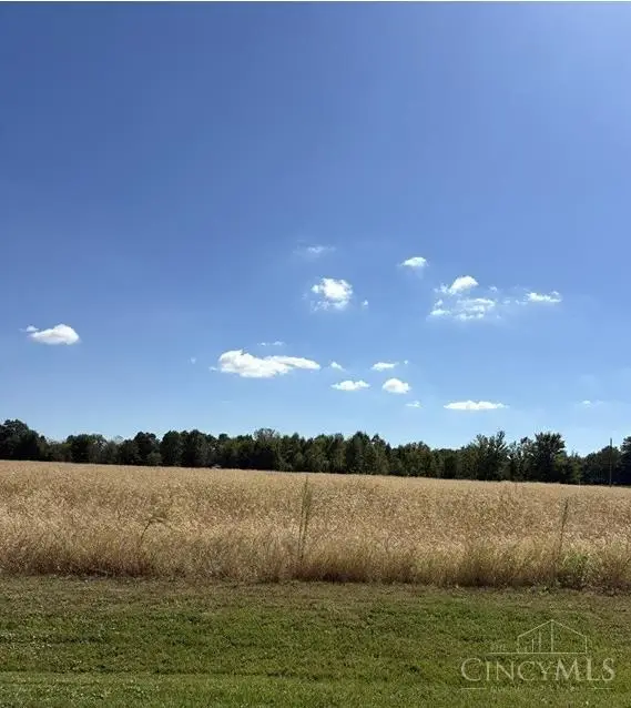 1 Roachester Cozaddale Road, Pleasant Plain, OH 45162 - #3