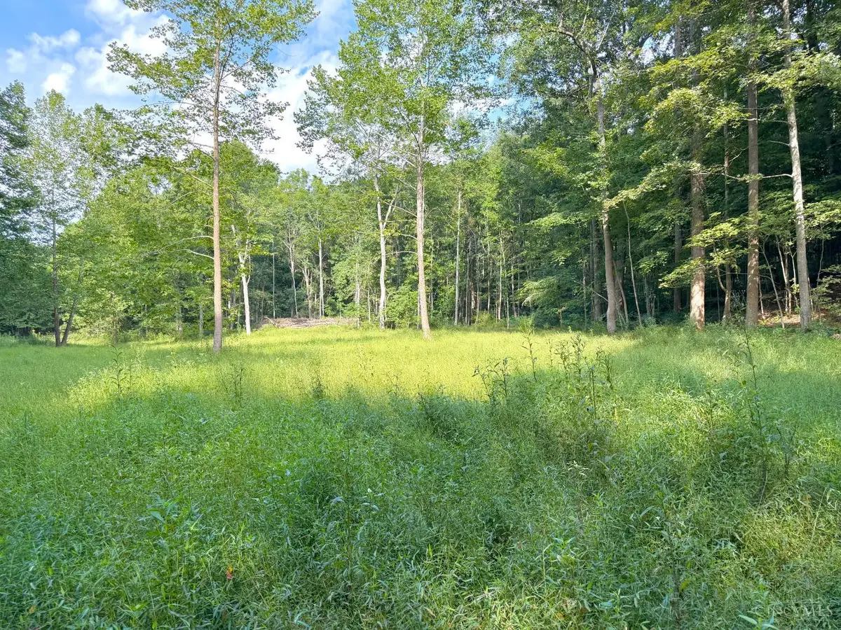 0 S Side Chenoweth Fork Road, Sunfish, OH 45660 - #1
