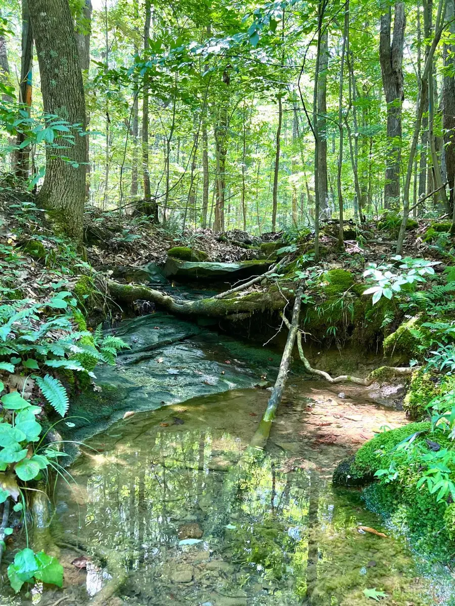 0 S Side Chenoweth Fork Road, Sunfish, OH 45660 - #2