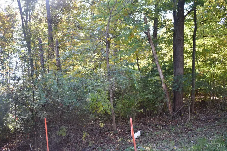 0 Schlitz Drive #211, Lake Lorelei, OH 45118 - #2