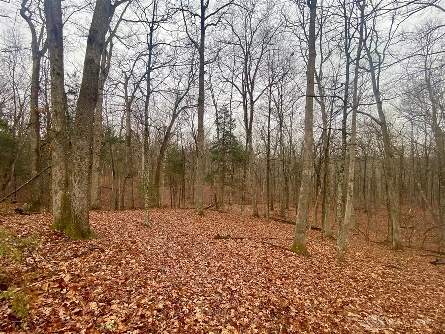 435 Rolling Woods Drive, West Union, OH 45693 - Image #2