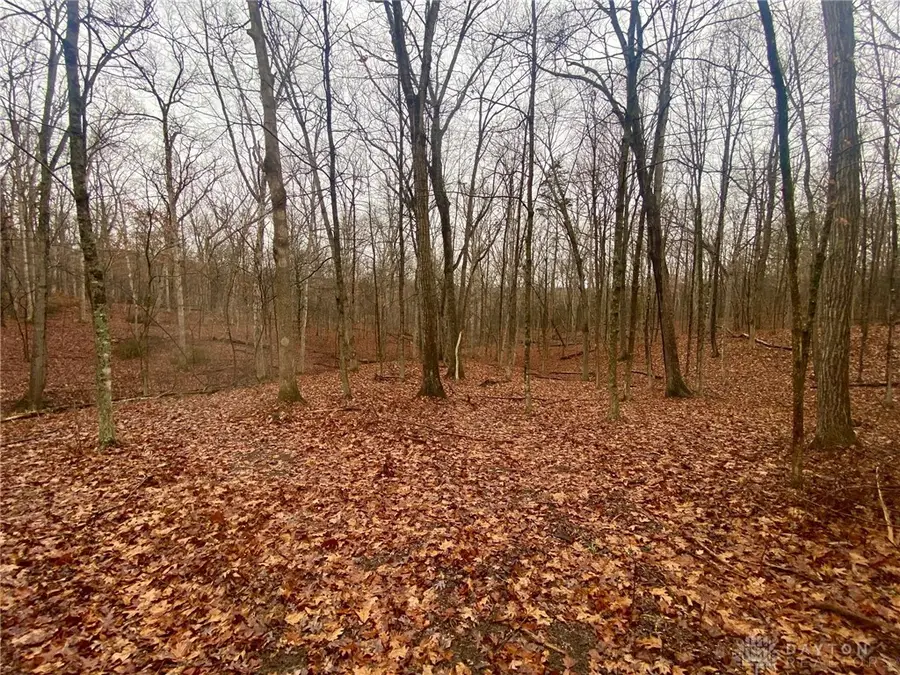 435 Rolling Woods Drive, West Union, OH 45693 - Image #3