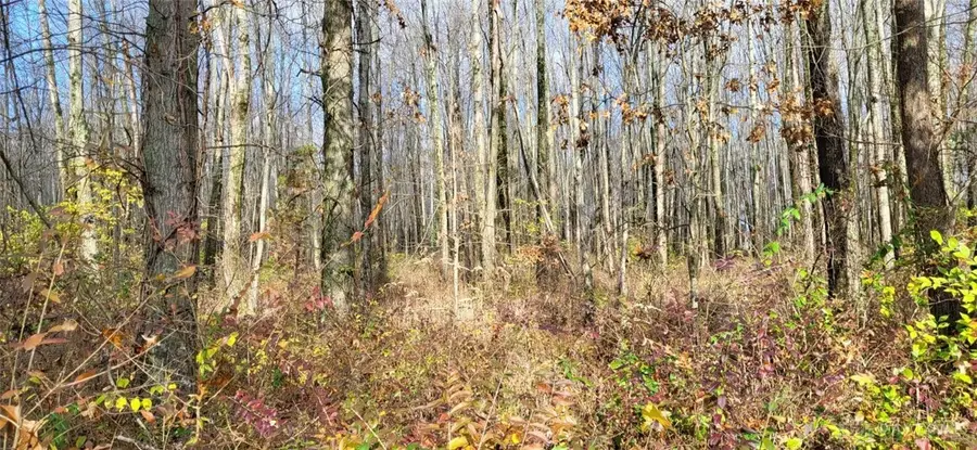 1670 Woodville Pike, Goshen Township, OH 45140 - Image #3