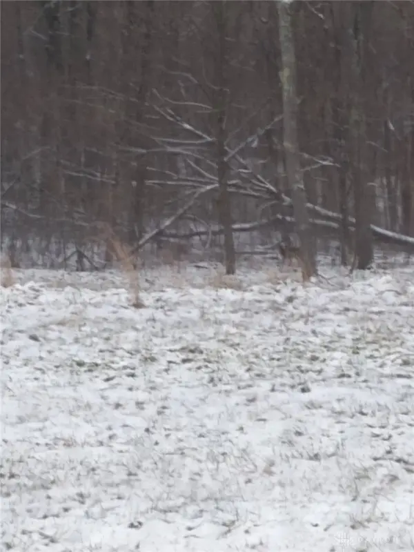 61000 Bolar Road, Mcarthur, OH 45342