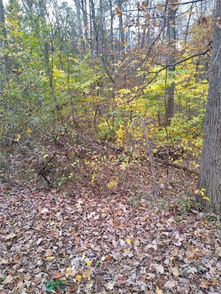 61000 Bolar Road, Richland, OH 45342 - #3